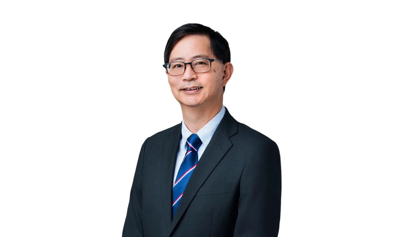 Professor Patrick Tan