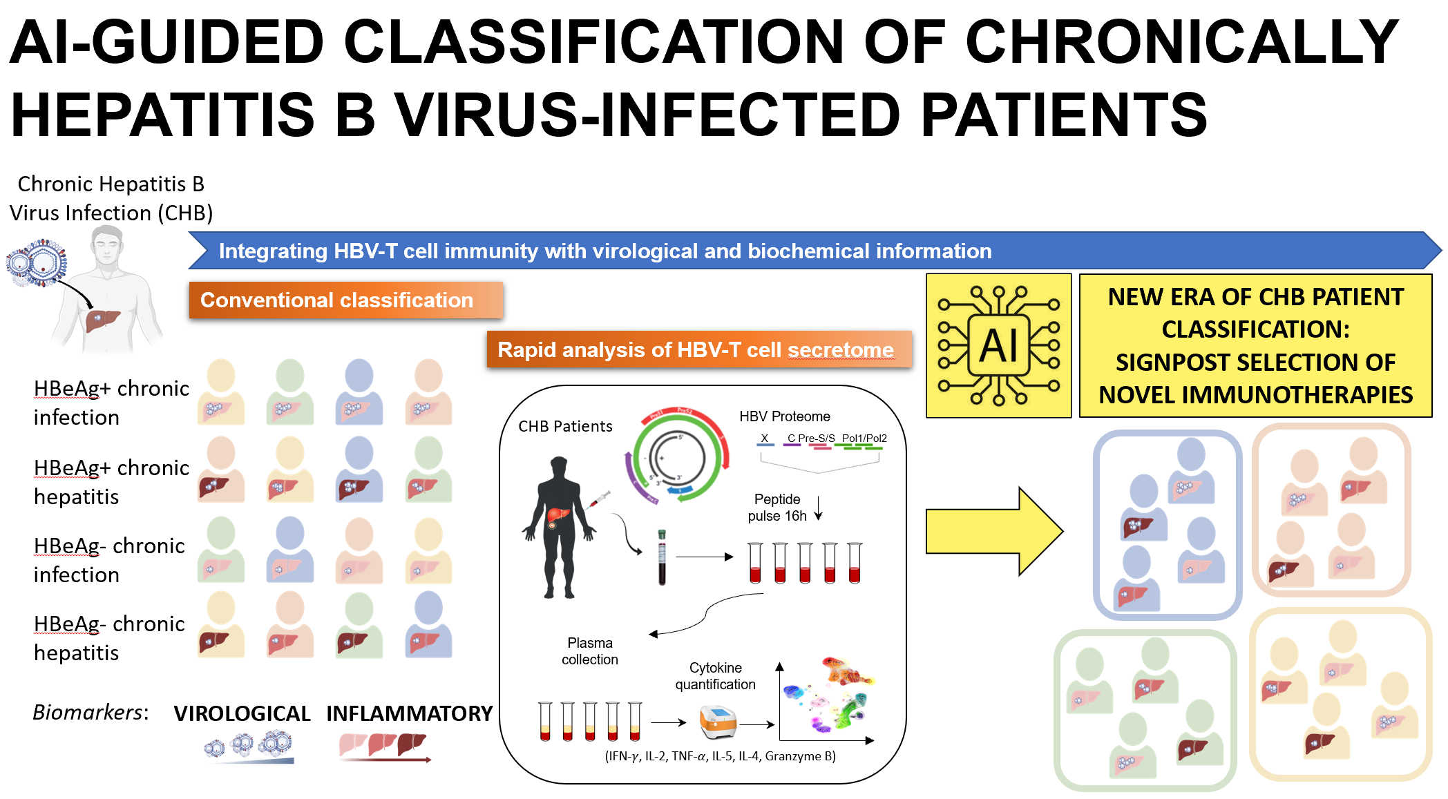 ai-immune-tcell