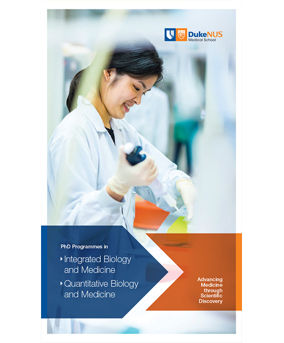 Content Hub - PhD Brochure
