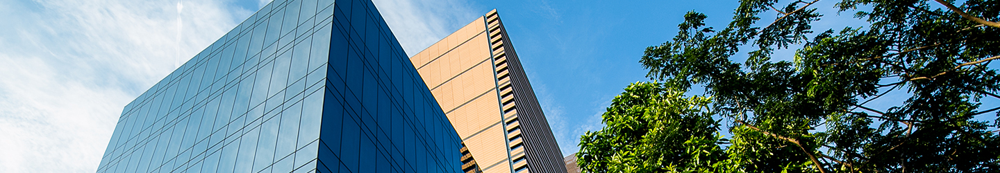 Banner Image for Support Departments