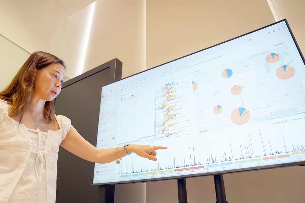 Woman, called Yvonne Su, points at the screen demonstrating H5N1's spread