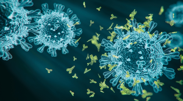 3d rendered covid-19 antibody