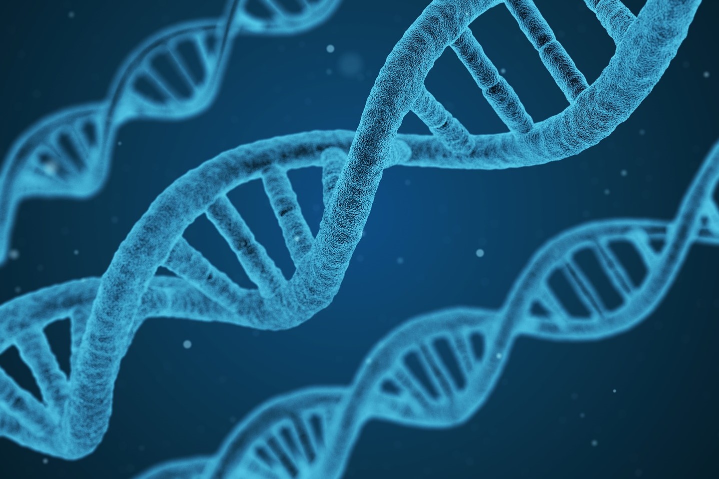 dna-1811955_1920