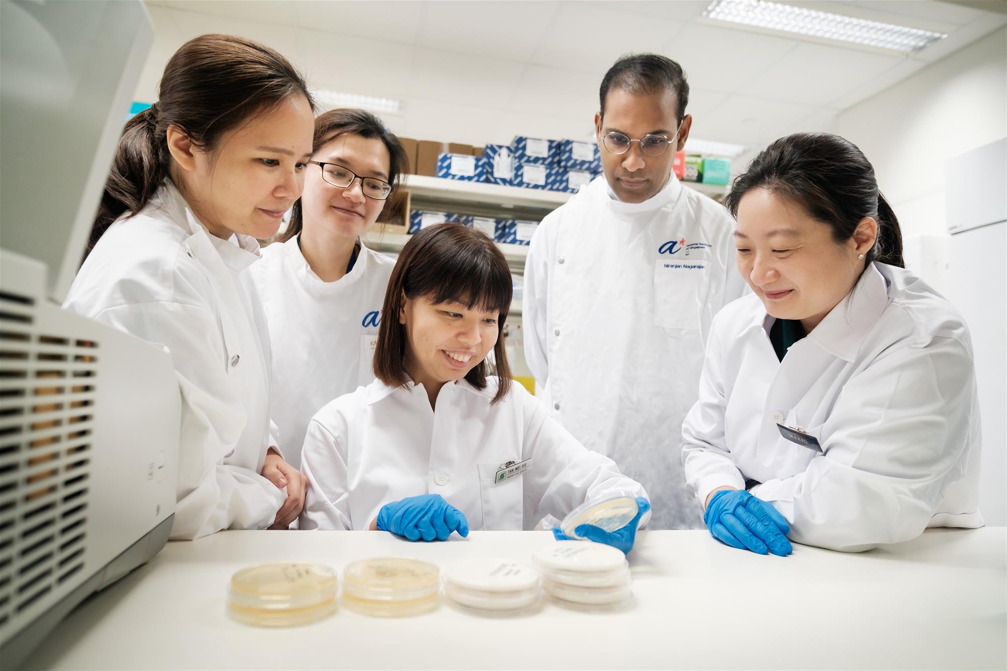 The research team inspecting cultures of Candida auris