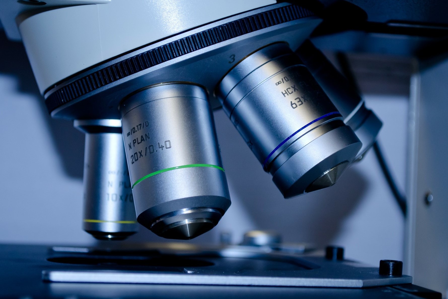 PhD in Quantitative Biology and Medicine Curriculum