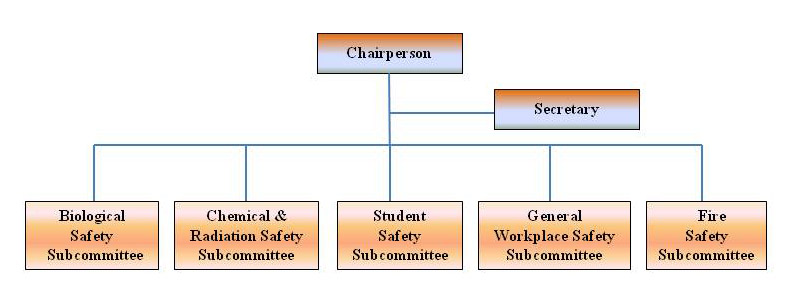 Organisation of the Duke-NUS Safety Committee Organisation of the Duke-NUS Safety Committee