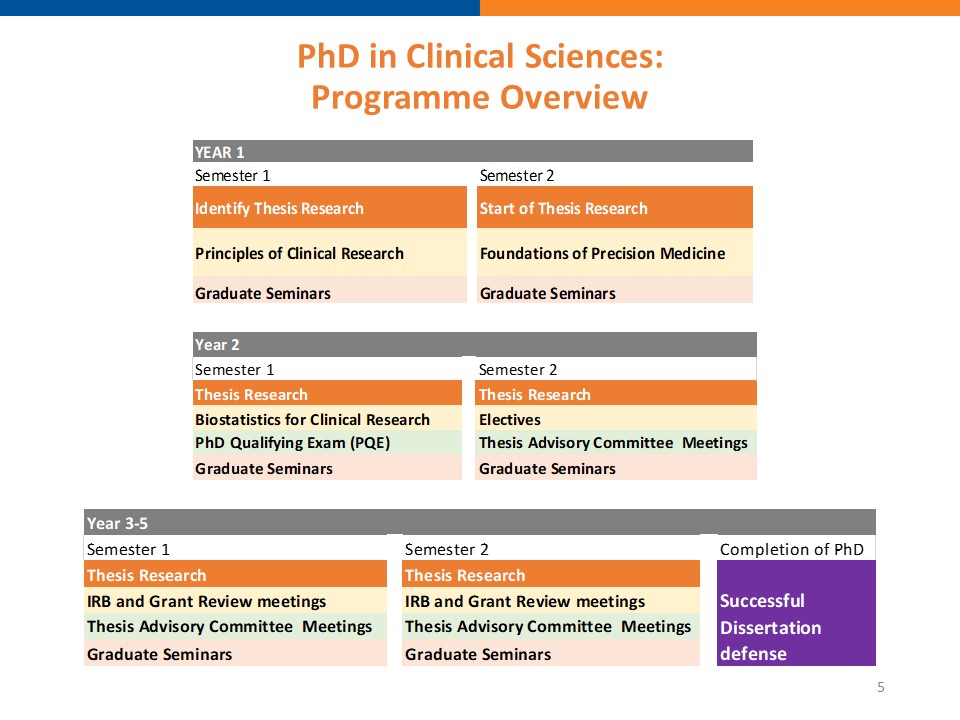 phd programme year