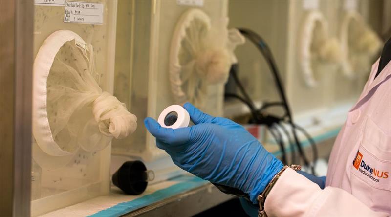 Duke-NUS, Johnson & Johnson join hands to advance dengue innovation through a new discovery centre