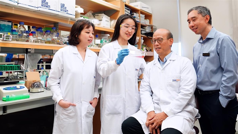 The research team: (from left) Dr Giselle Nah, Duke-NUS research fellow; Dr Yu Mengge, Duke-NUS research fellow; Prof Ong Sin Tiong, Duke-NUS’ Cancer and Stem Cell Biology Programme; Duke-NUS Associate Professor Charles Chuah // Credit: Duke-NUS Medical School The research team: (from left) Dr Giselle Nah, Duke-NUS research fellow; Dr Yu Mengge, Duke-NUS research fellow; Prof Ong Sin Tiong, Duke-NUS’ Cancer and Stem Cell Biology Programme; Duke-NUS Associate Professor Charles Chuah // Credit: Duke-NUS Medical School