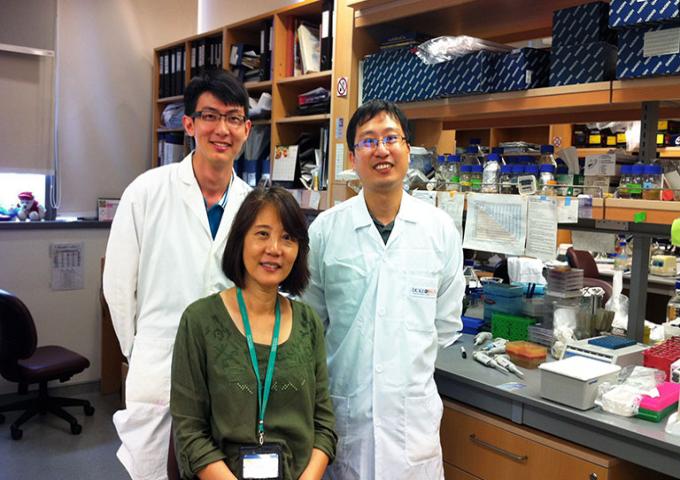Three Researchers