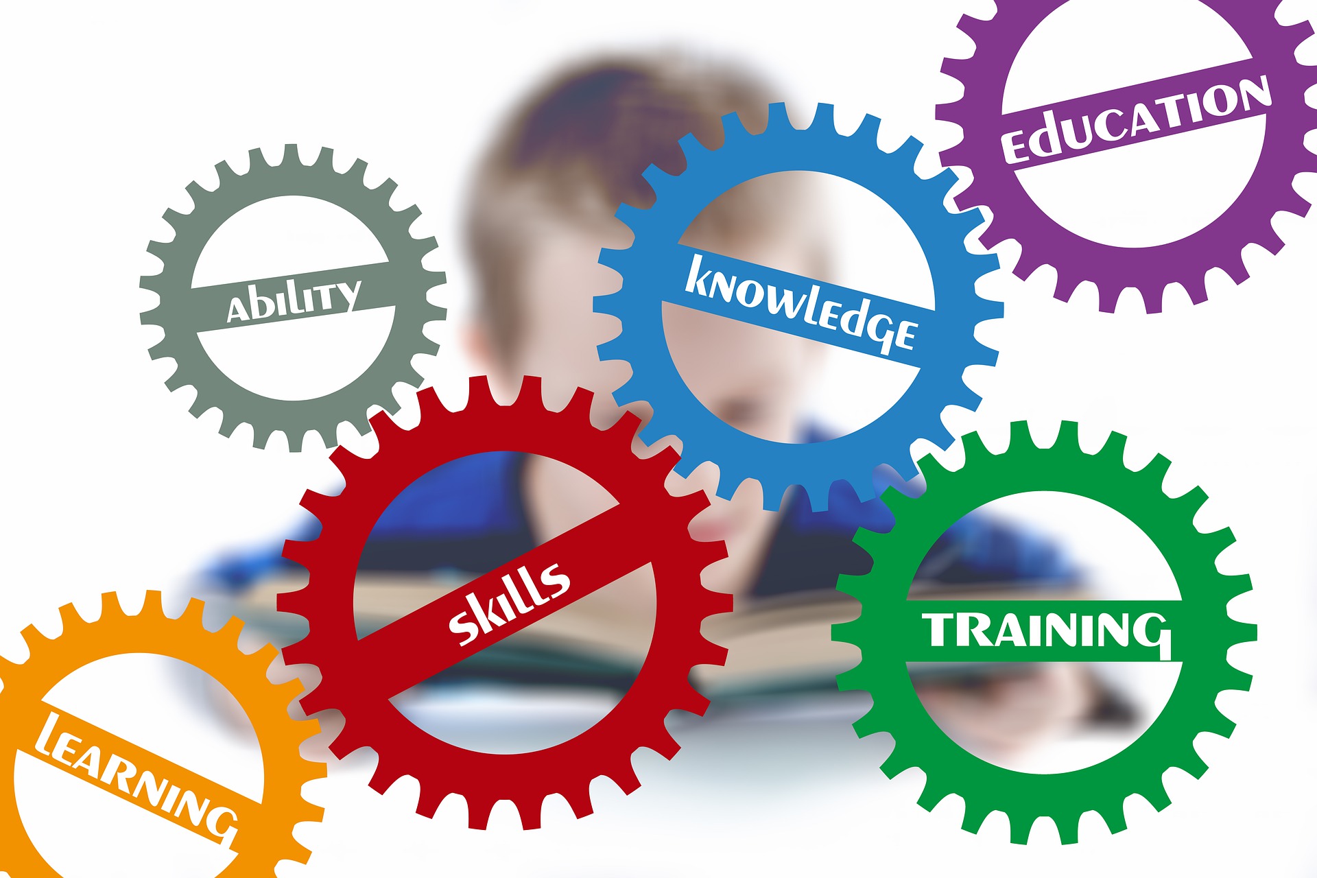Banner Image for Mentorship