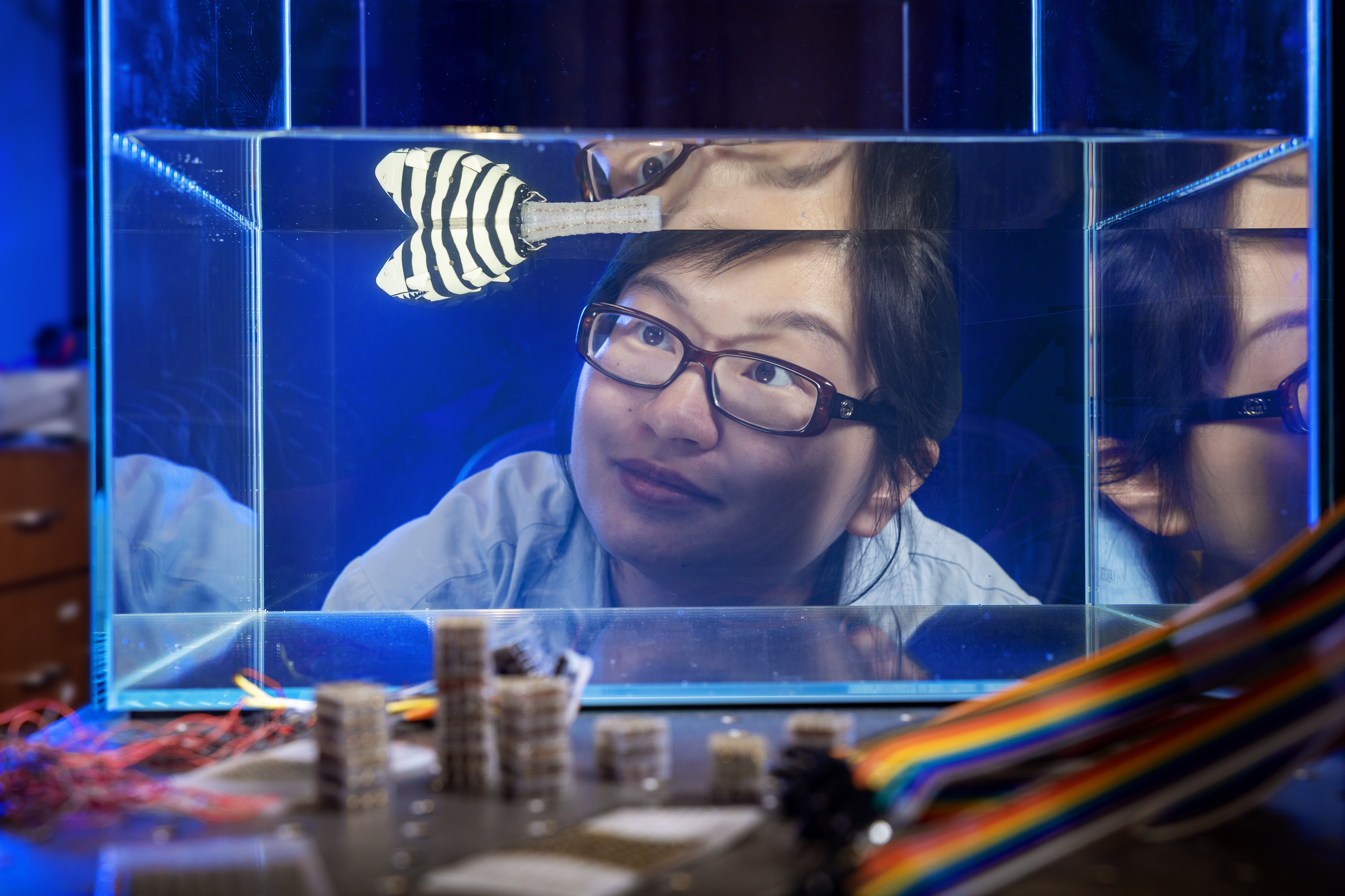 A New Frontier in Smart Materials