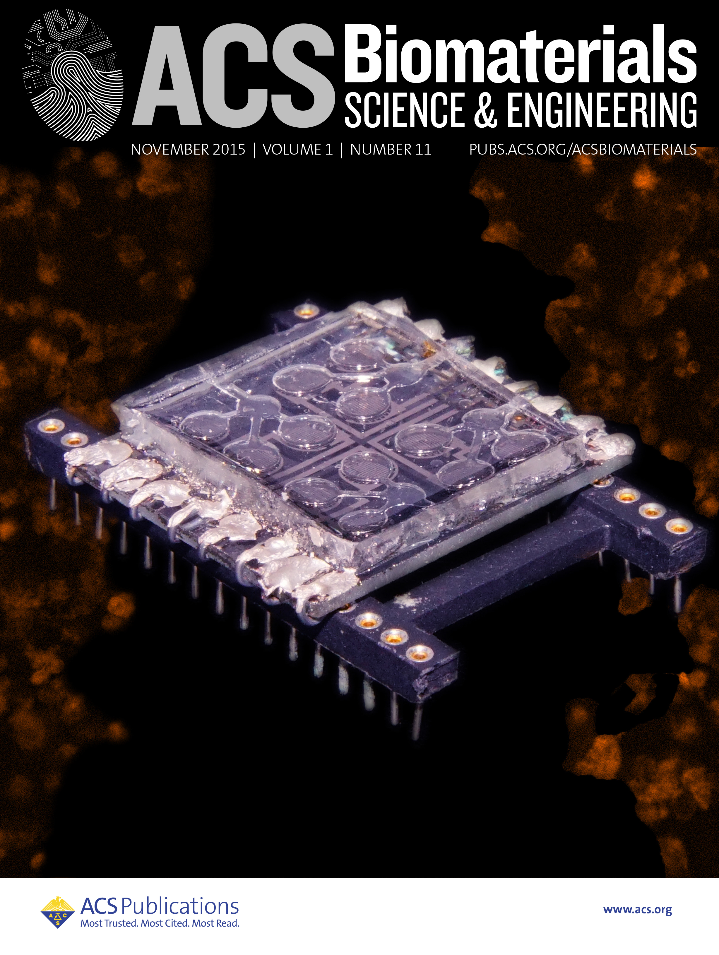 ACS magazine cover