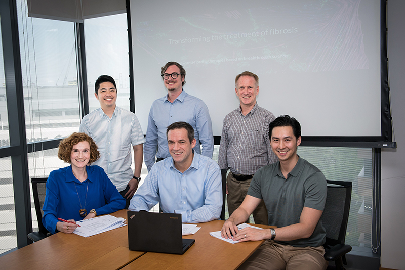 The Enleofen team