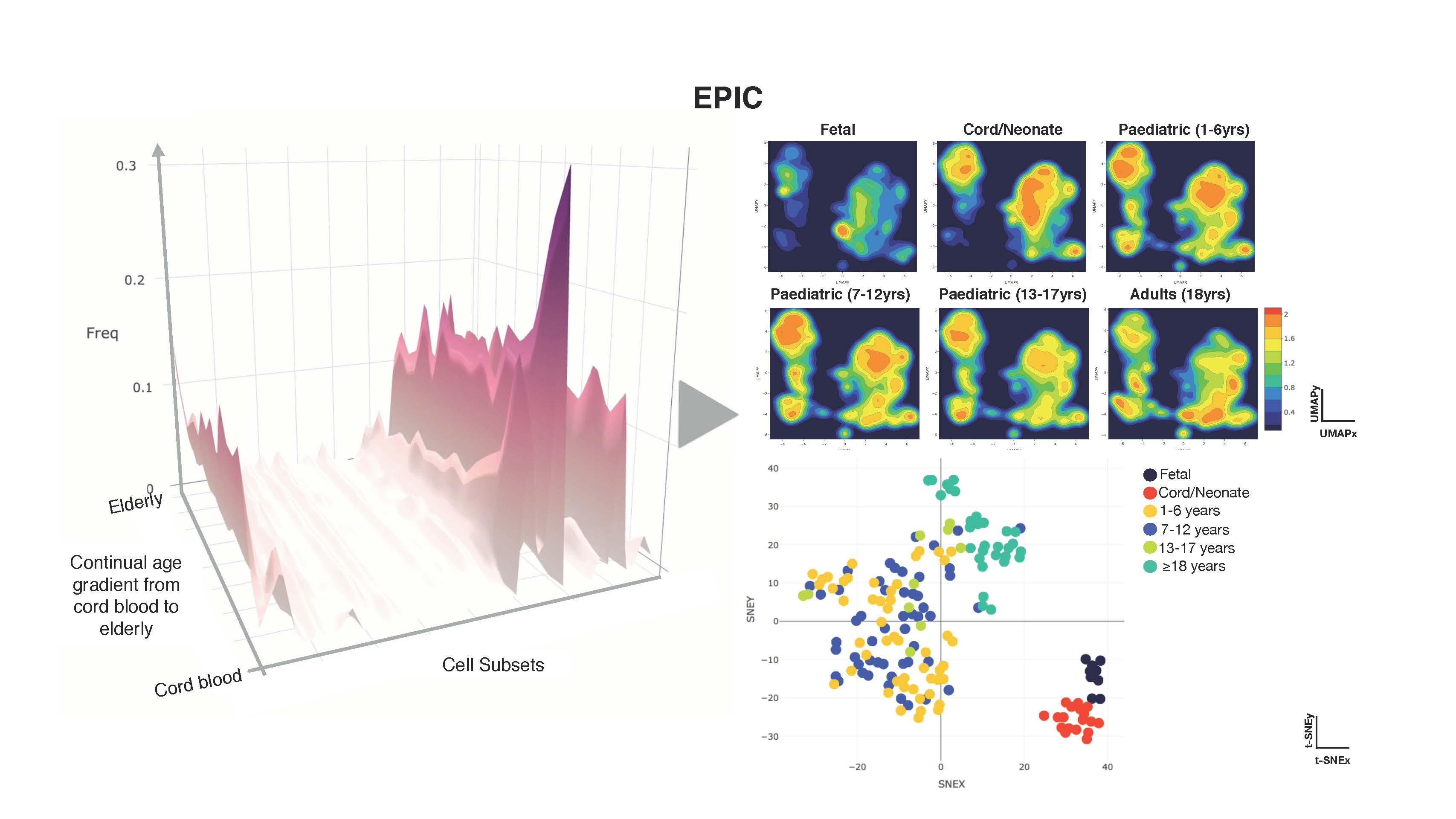 An image showing subsets of cells (right) captured using EPIC 