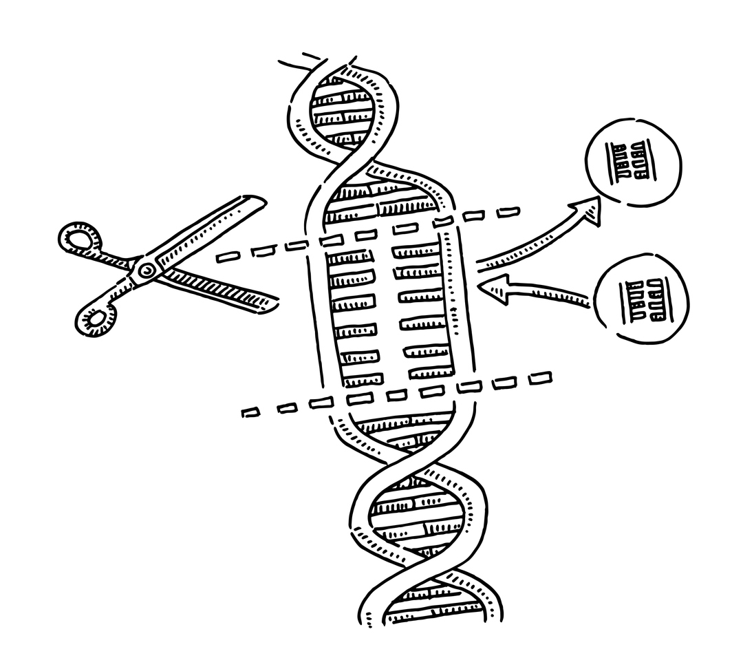 Can you explain how gene editing technologies like CRISPR work to make precise changes to DNA, and what are some of the most promising areas where it is applied?