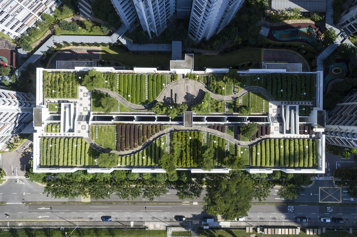 An image of a roof top garden