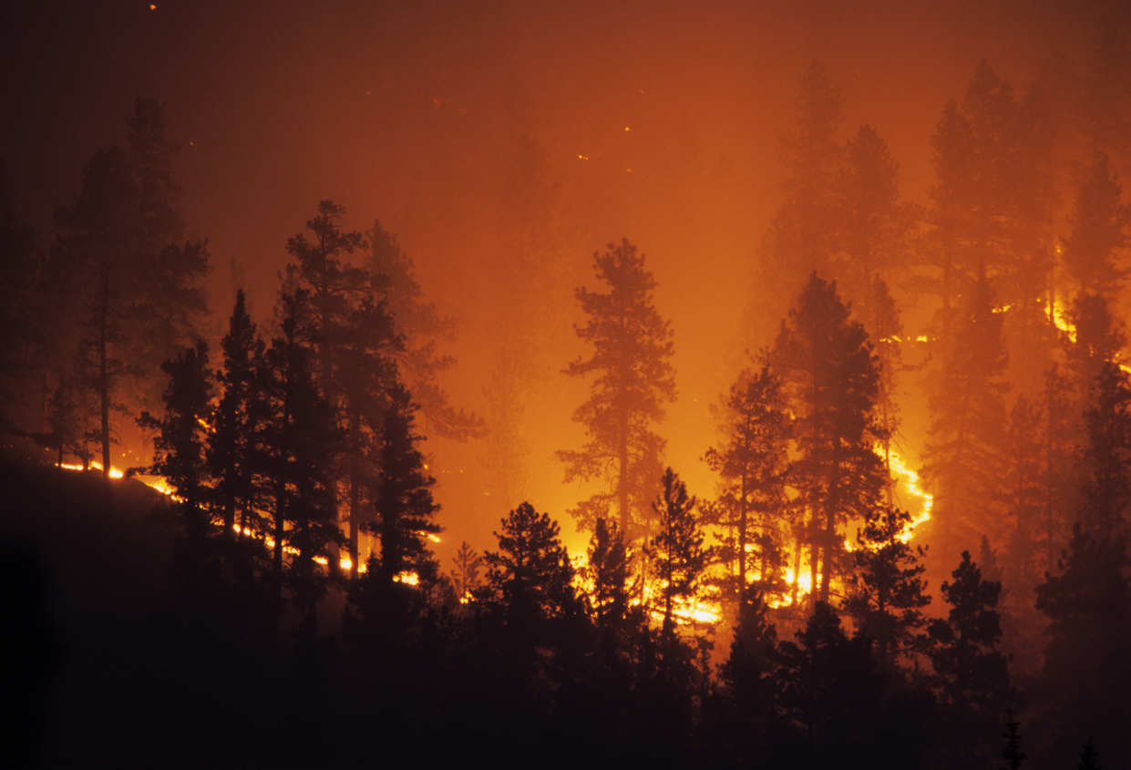 Wildfire smoke