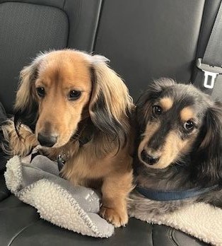 leo &amp; louis