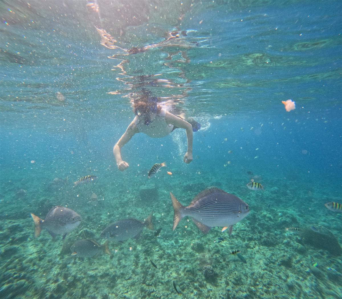 Luesch Dive