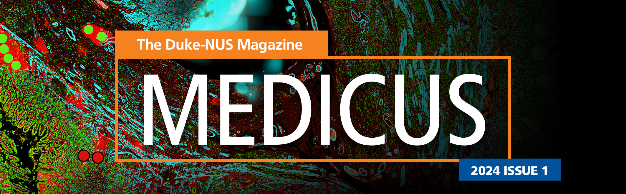 MEDICUS 2024 Issue 1