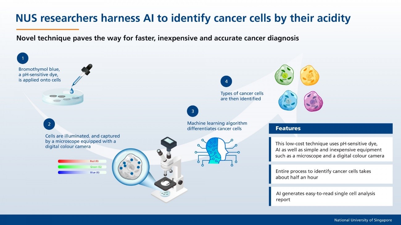 NUS researchers harness AI to identify cancer cells by acidity