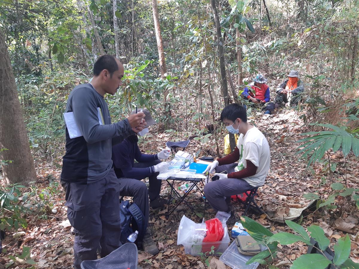 Field studies like this will help to determine the impact on ecological interventions on the health of local communities, domestic animals, wildlife and the environment // Credit: Serge Morand
