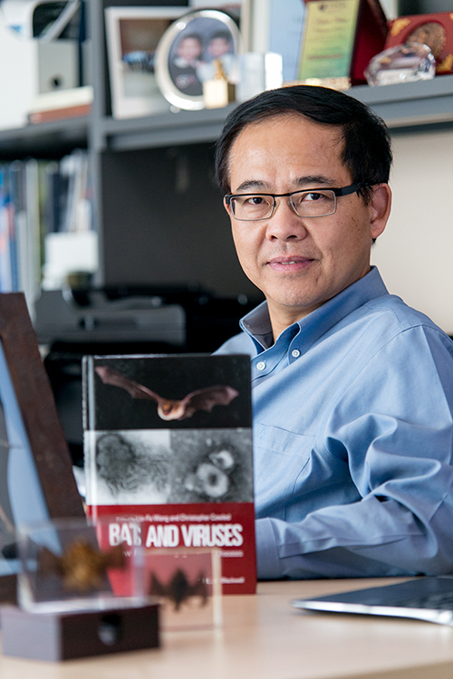 Prof Wang Linfa
