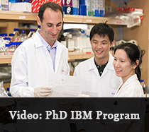 Banner - PhD IBM
