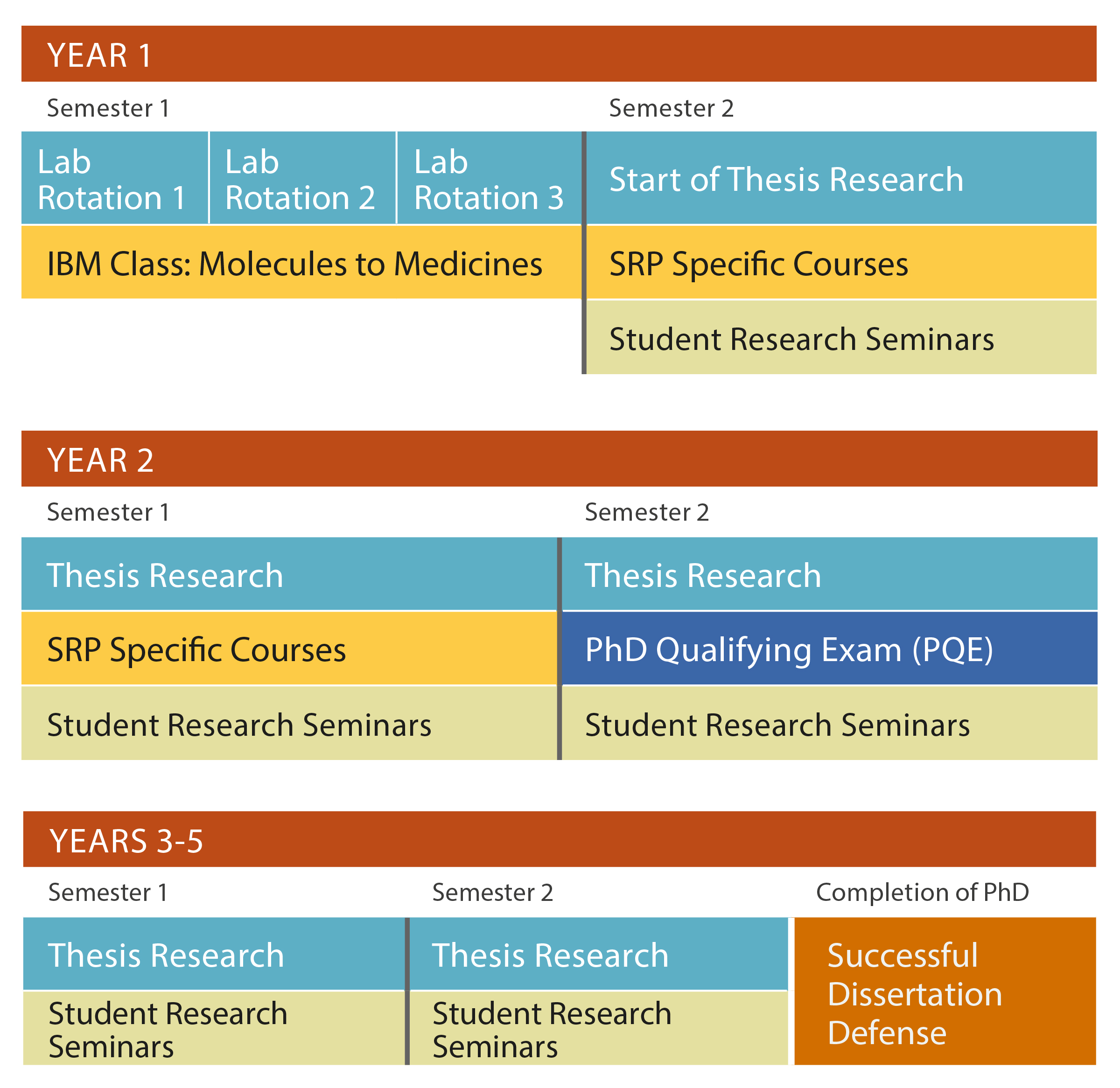 ibm curriculum