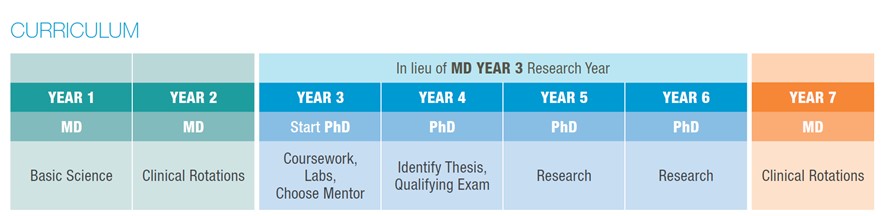 md phd track