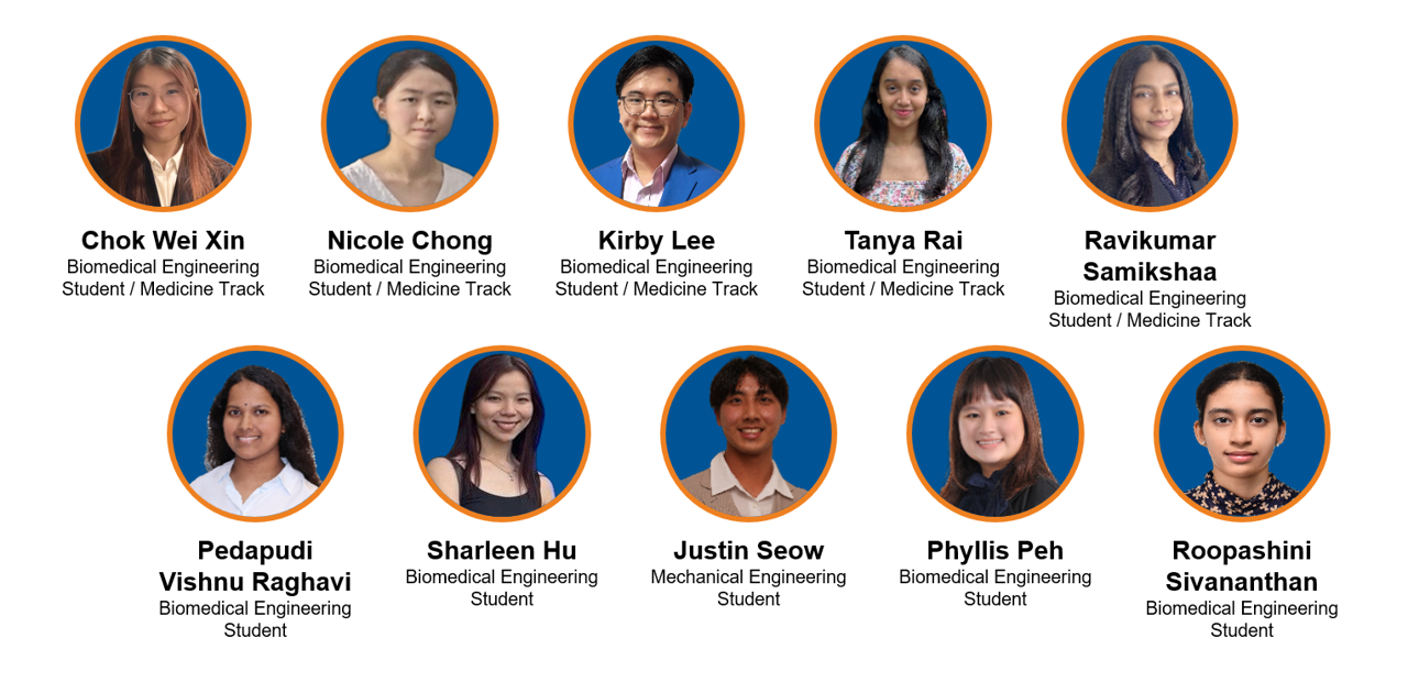 DHIP-6_Engineering Fellows
