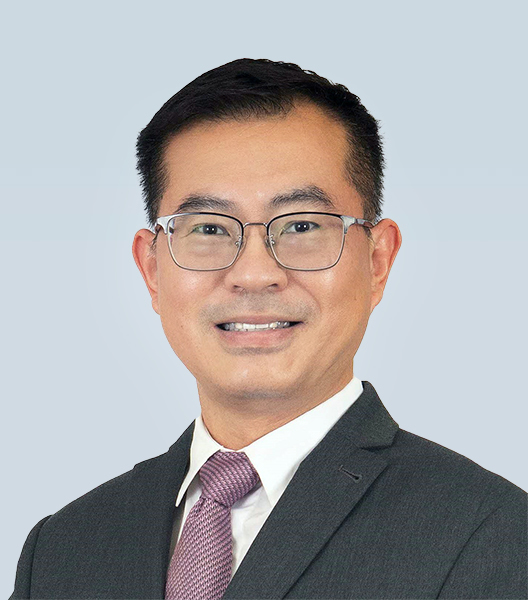 Professor Lim Soon Thye