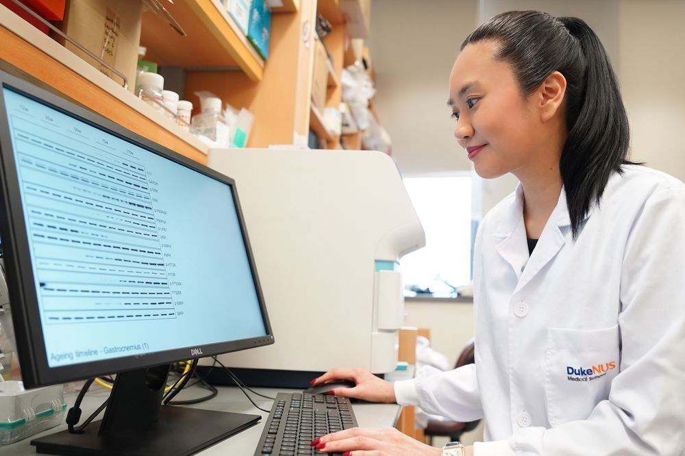 Anissa Widjaja looks at a western blot