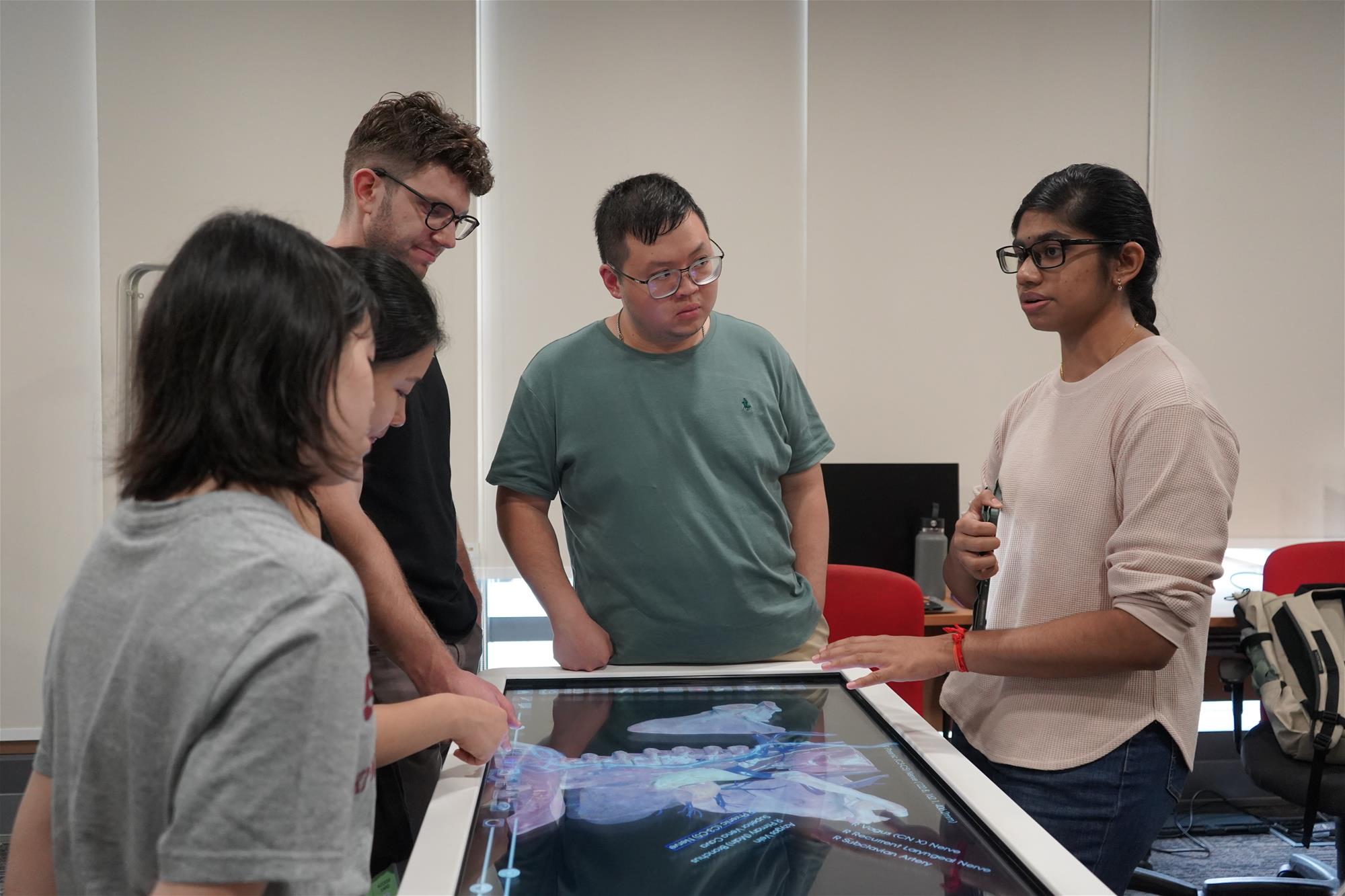 From students to mentors: how peer coaching brings anatomy to life