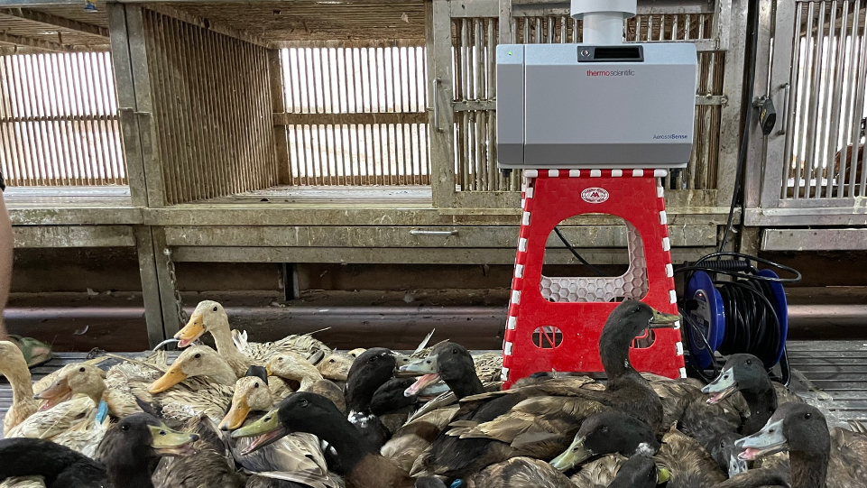 Air samples being collected from the holding area of a market where birds are housed before processing. // Credit: Peter Cronin