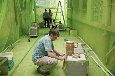 Dr Ian Mendenhall preparing the taxis cages inside the testing enclosure at the National Institute of Hygiene and Epidemiology in Hanoi, Vietnam
