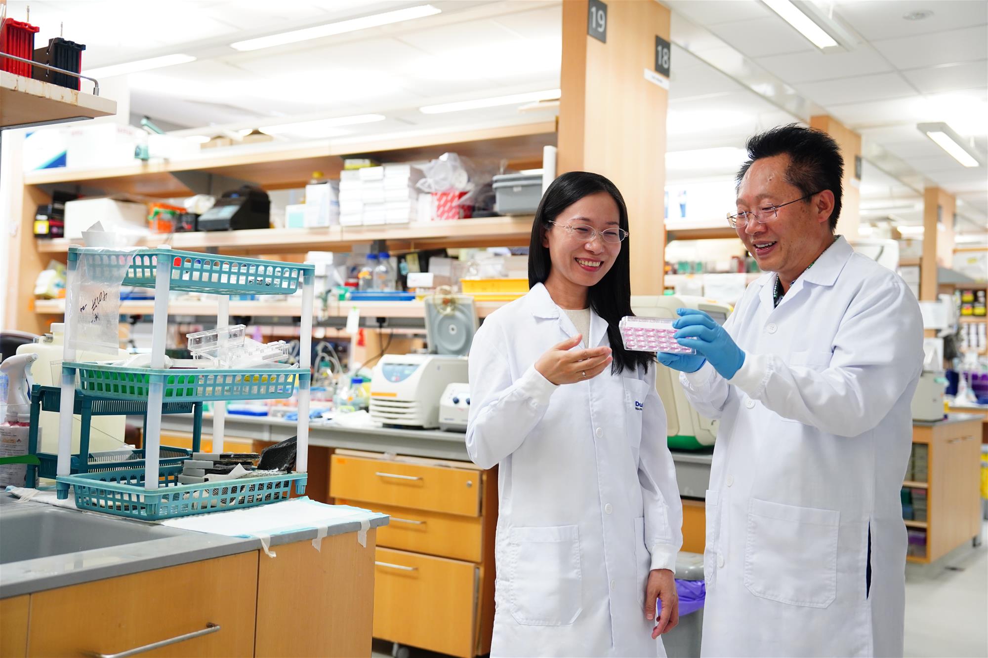 Hongyan and Ma Dongliang Professor Wang Hongyan (left) and Dr Ma Dongliang hope to unravel the complexities of the human brain (Credit: Norfaezah Abdullah, Duke-NUS)