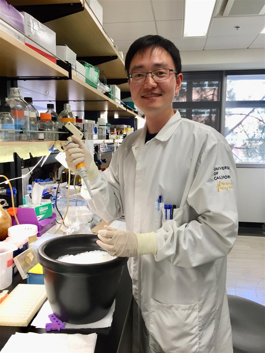 Lead author Dr Huang Jijun performed the study during his postdoctoral work at UCLA.