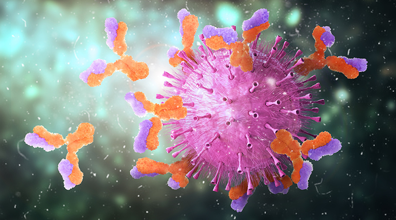 Key differences in immune response to SARS-CoV-2 vaccines