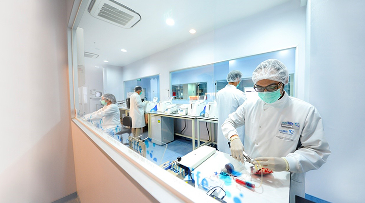 Long-term cryopreservation