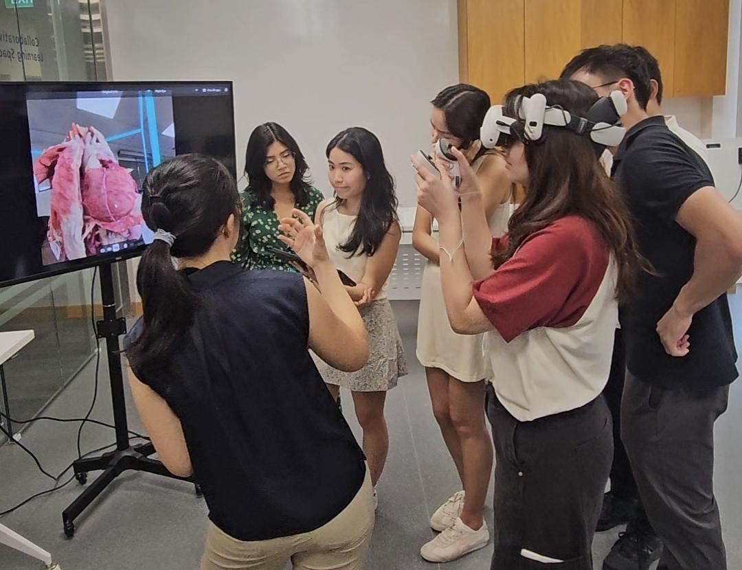 Students, guided by a senior, make new discoveries about cardiothoracic anatomy using VR technology