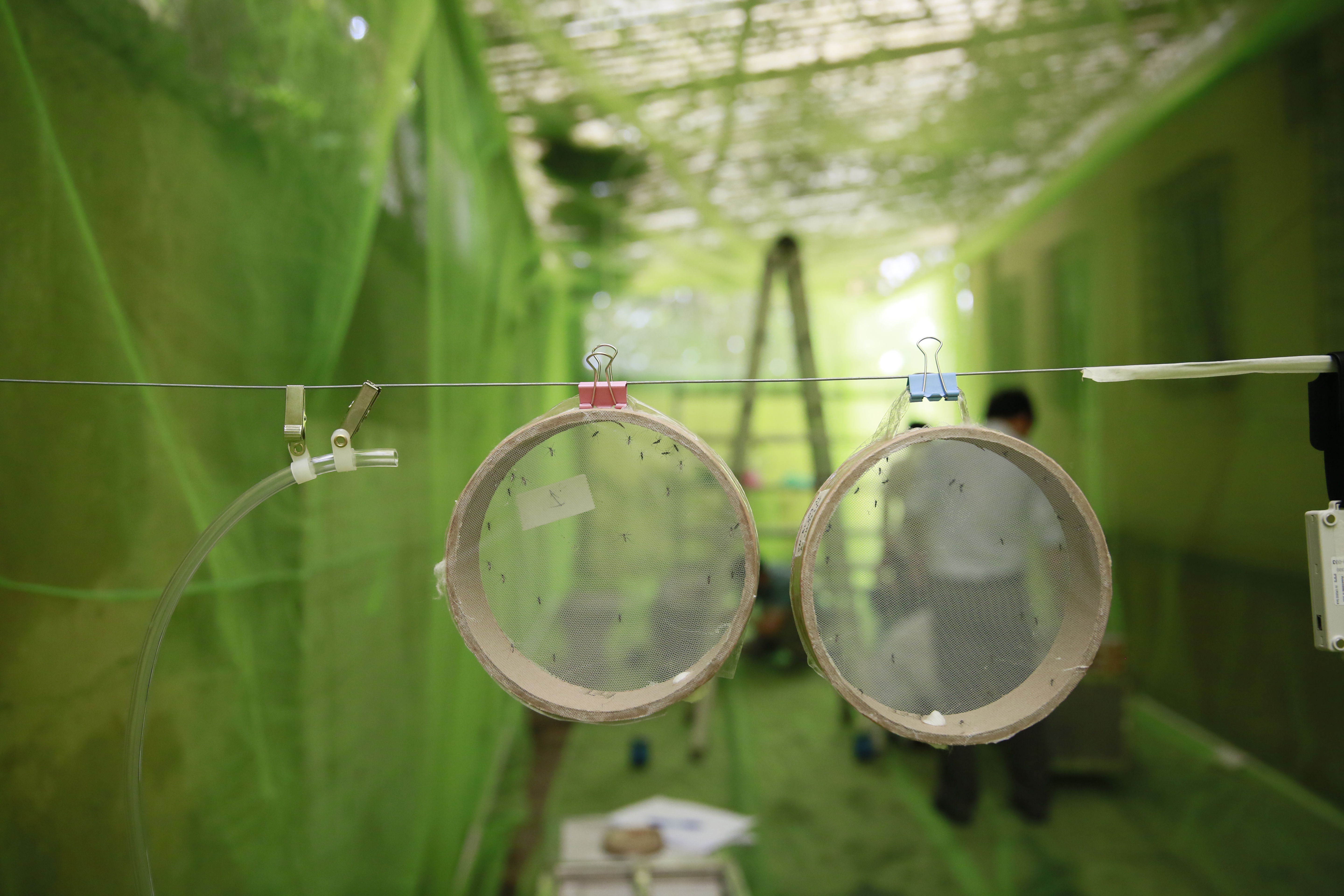 Mortality cages with mosquitoes next to an air sampling device for the spatial repellency study at the National Institute of Hygiene and Epidemiology in Hanoi, Vietnam.