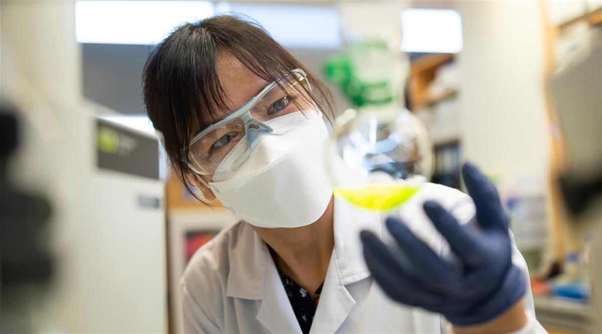Dr Chaw Su Yin, Research Fellow from Asst Prof Ann-Marie Chacko’s lab at Duke-NUS, is looking at a solution of fluorescently labelled liposomes.