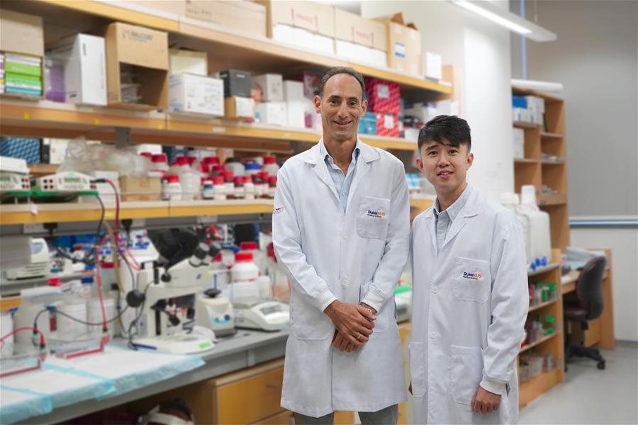 Professor David Silver, Deputy Director of Duke-NUS’ Cardiovascular &amp; Metabolic Disorders (CVMD) Programme, and Dr Chin Cheen Fei