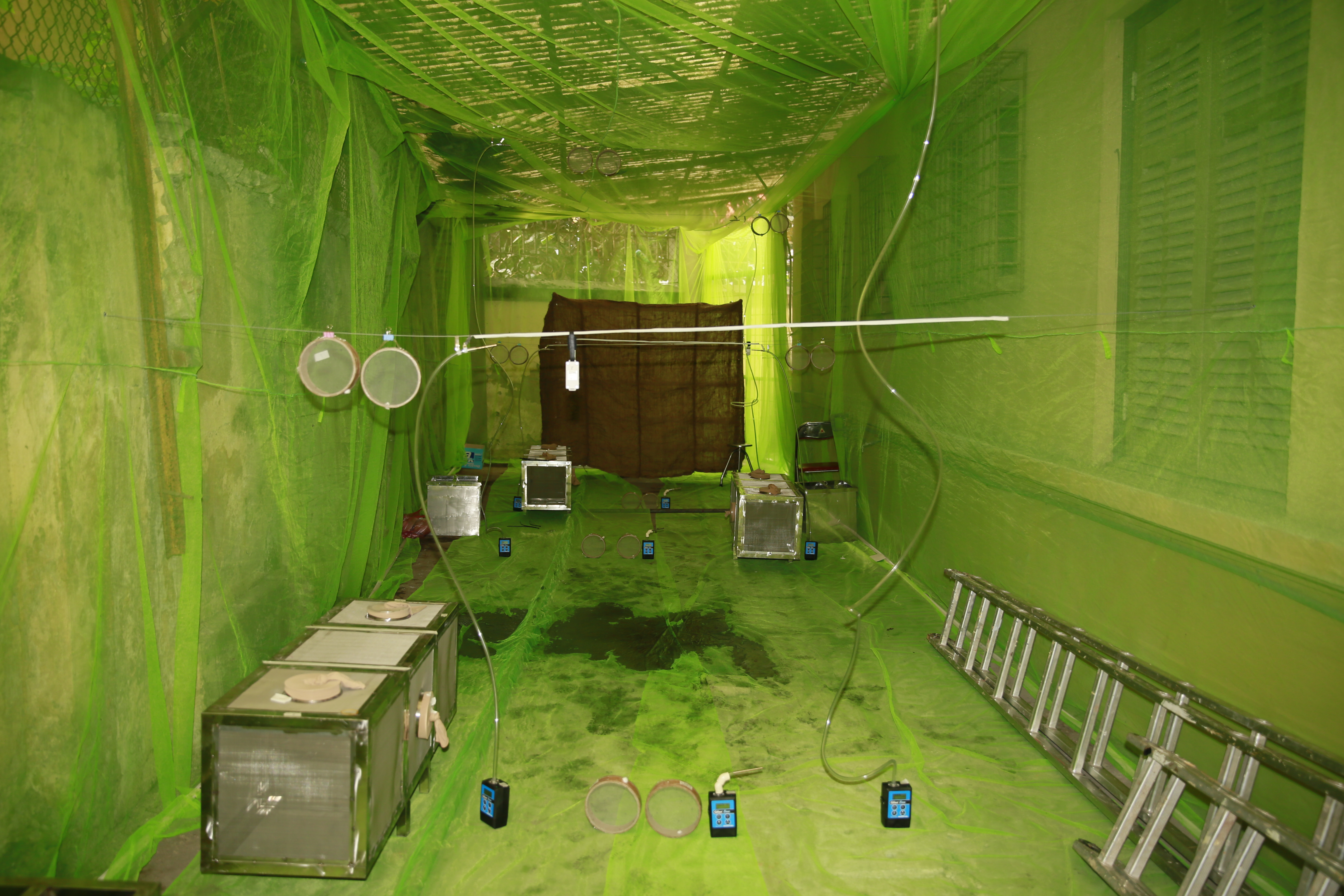 Study set up with mortality cages (round), taxis cages and air sampling devices at the National Institute of Hygiene and Epidemiology in Hanoi, Vietnam.