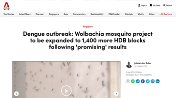 Wolbachia mosquito project to be expanded to 1,400 more HDB blocks (CNA)