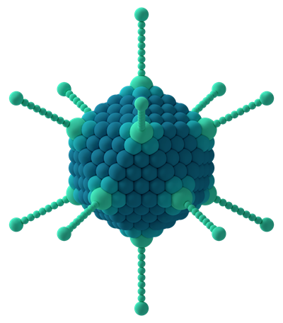 Adenovirus_3D_schematic Adenovirus_3D_schematic