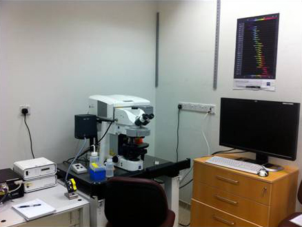 CellSortingFacility_Visual2 CellSortingFacility_Visual2