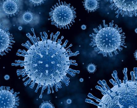 Duke-NUS scientists find new strains of influenza A virus in pigs, potentially posing a pandemic risk (spotlight)